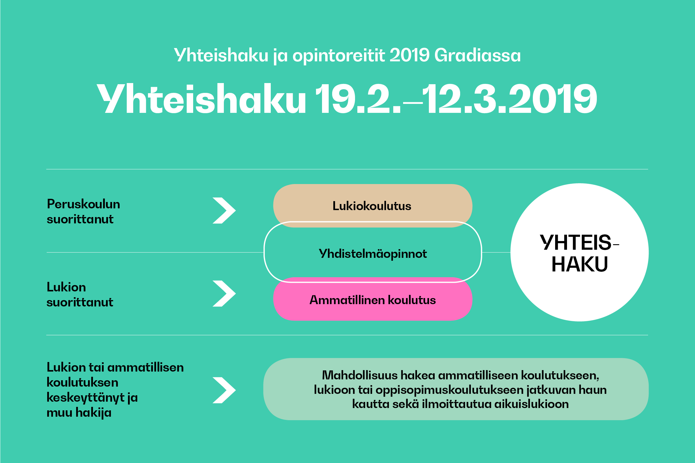 Infograafi: yhteishaku ja opintoreitit 2019 Gradiassa