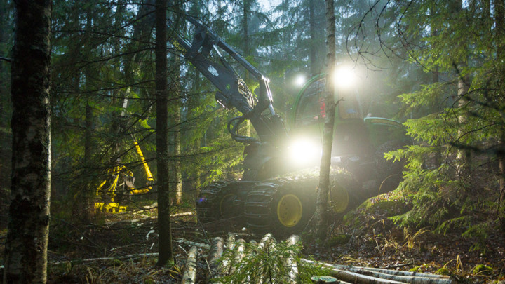 Metsäkone hämärtyvässä metsässä.